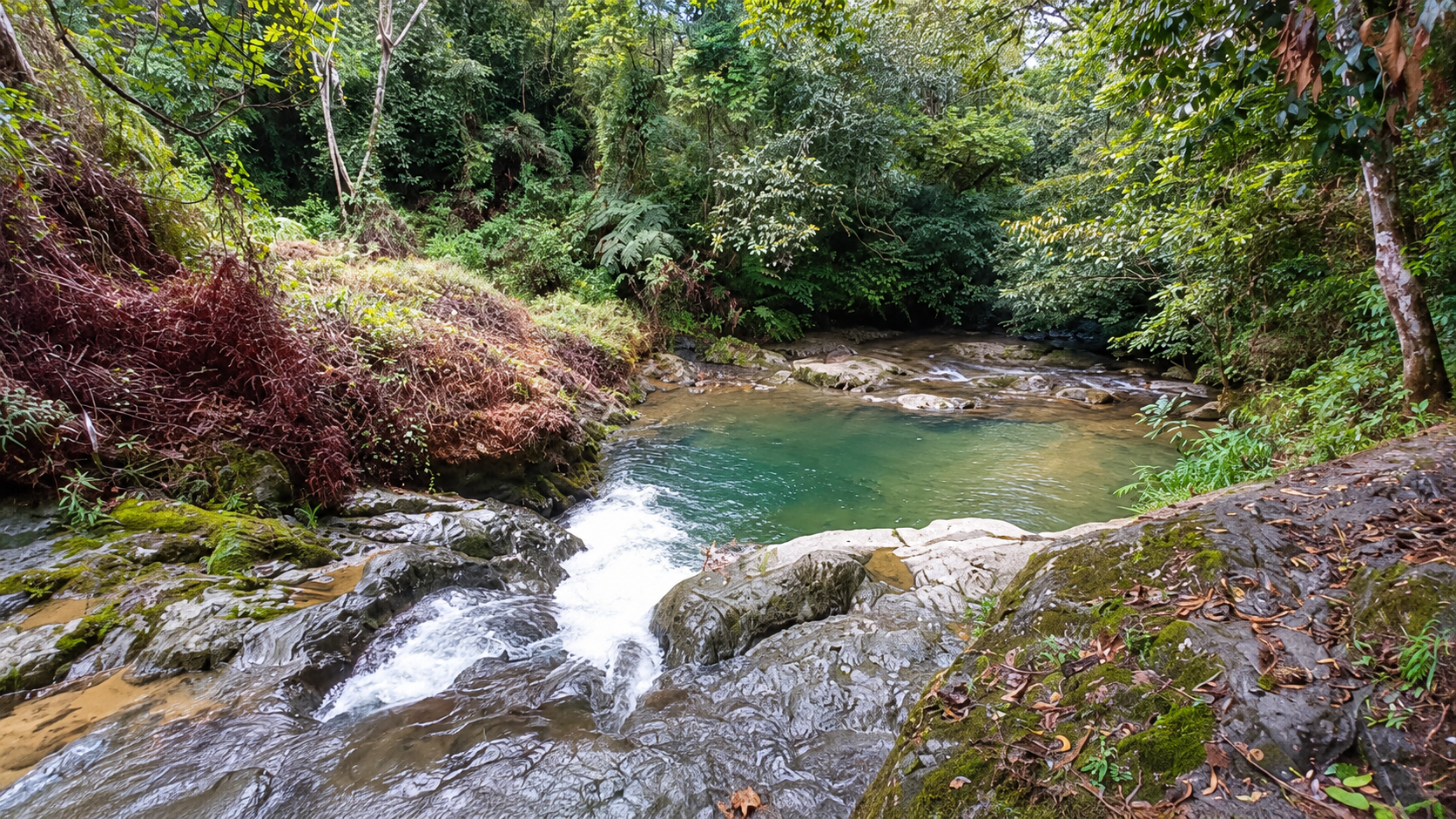 Waterfalls spots in Dominican Republic
