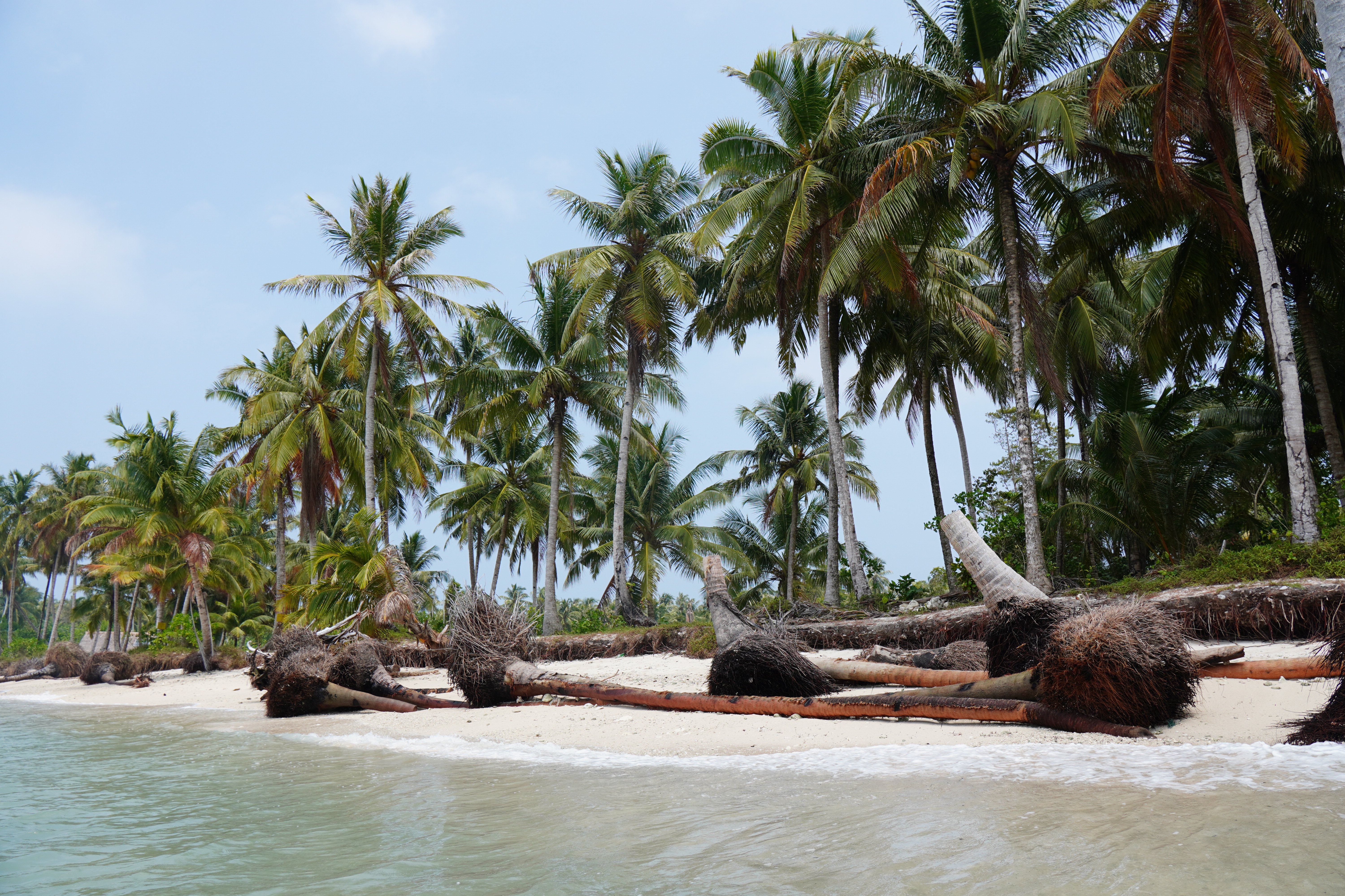 Palm Beach