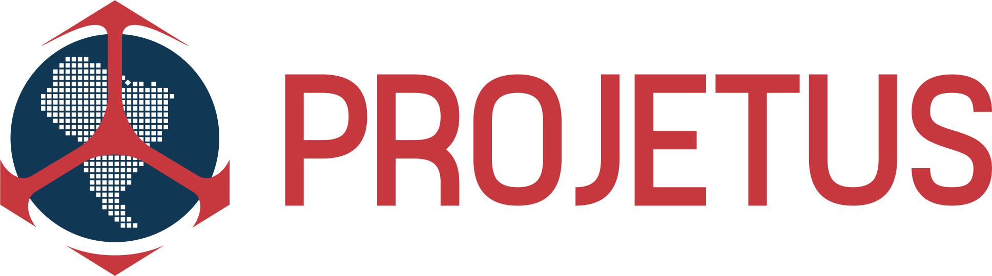 Logo da organização