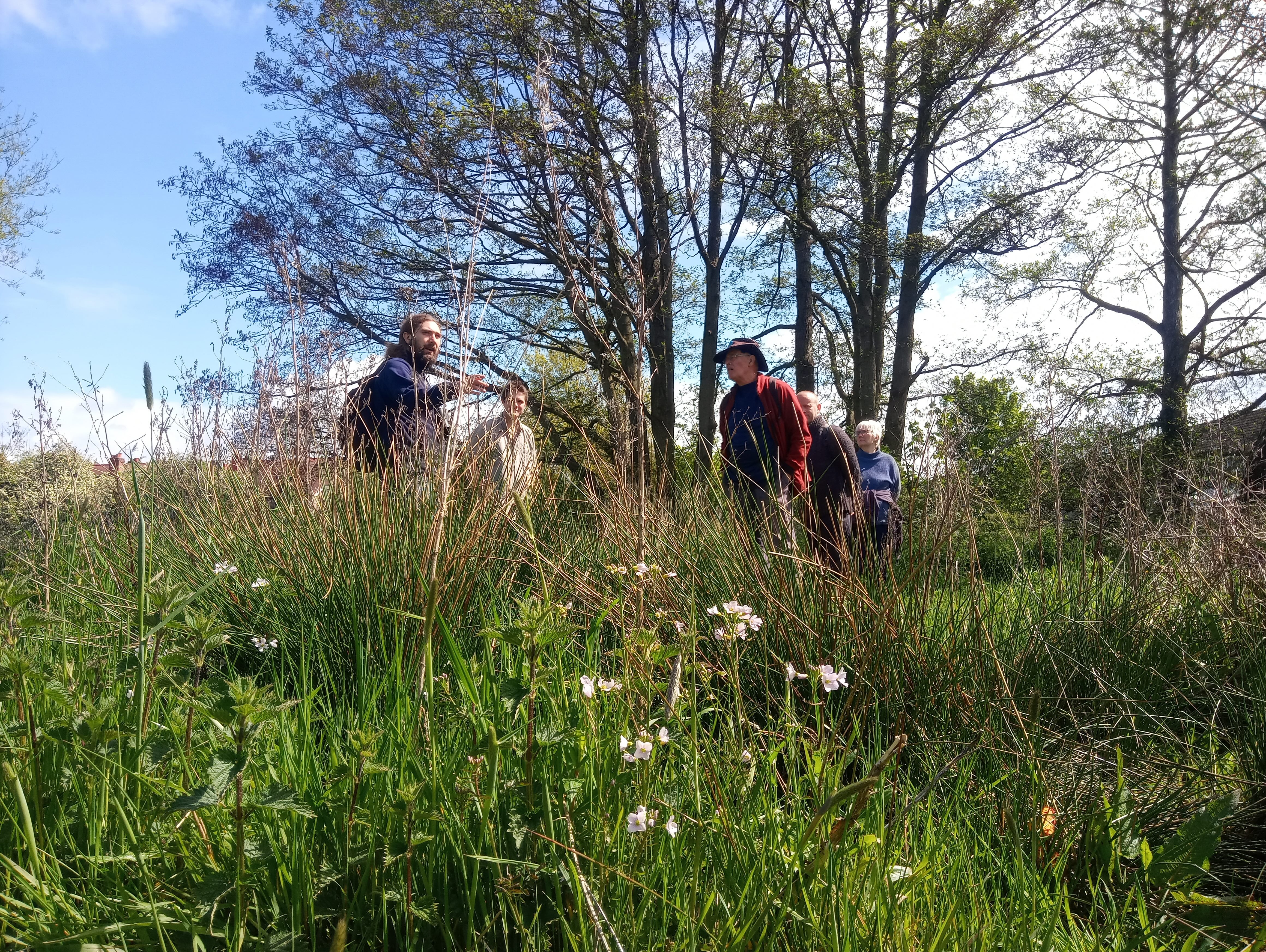 ReVersing The Sherbourne