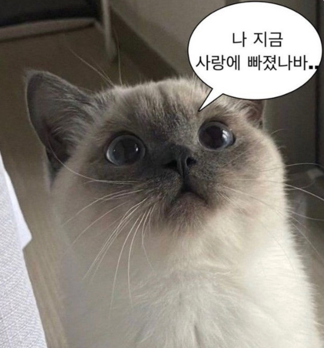 8기 최커가 낋여온 커플되는 꿀팁
