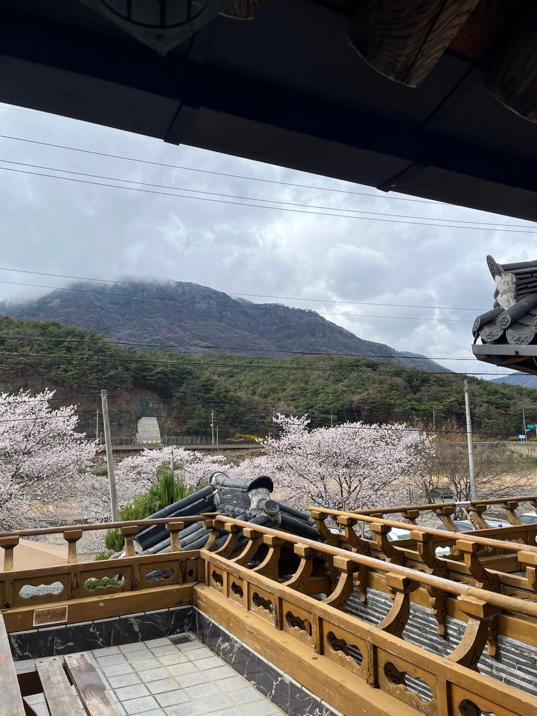 오버스테이 후기