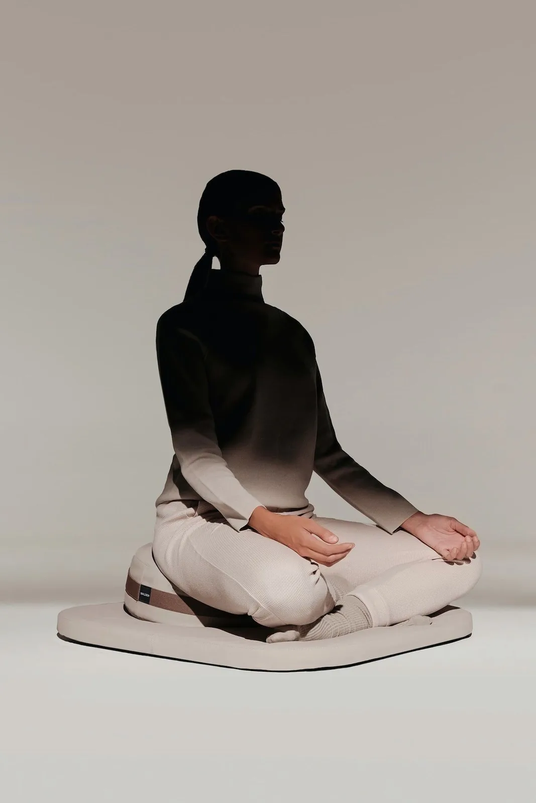 OWA restorative wellness experience