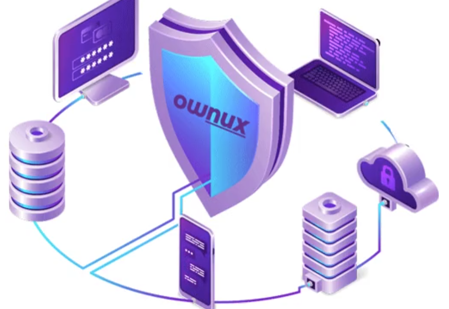 Cyber security firms in the USA