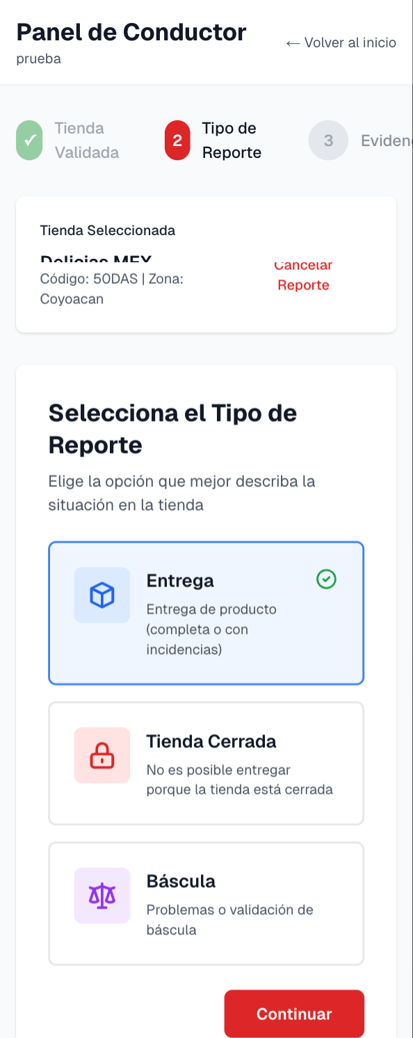 Entrega - Tipo de reporte