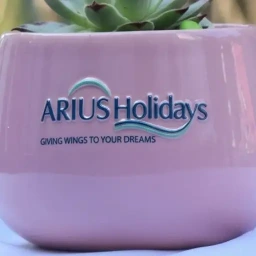 Embossed Logo (Permanent)