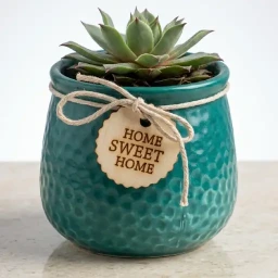 Imported Ceramic Pot (Doted)