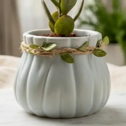 Imported Ceramic Pot (Striped)