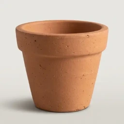 Terracotta Pot