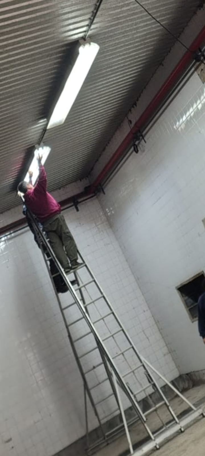 Trabajo 1 de Gabriel Tótoro