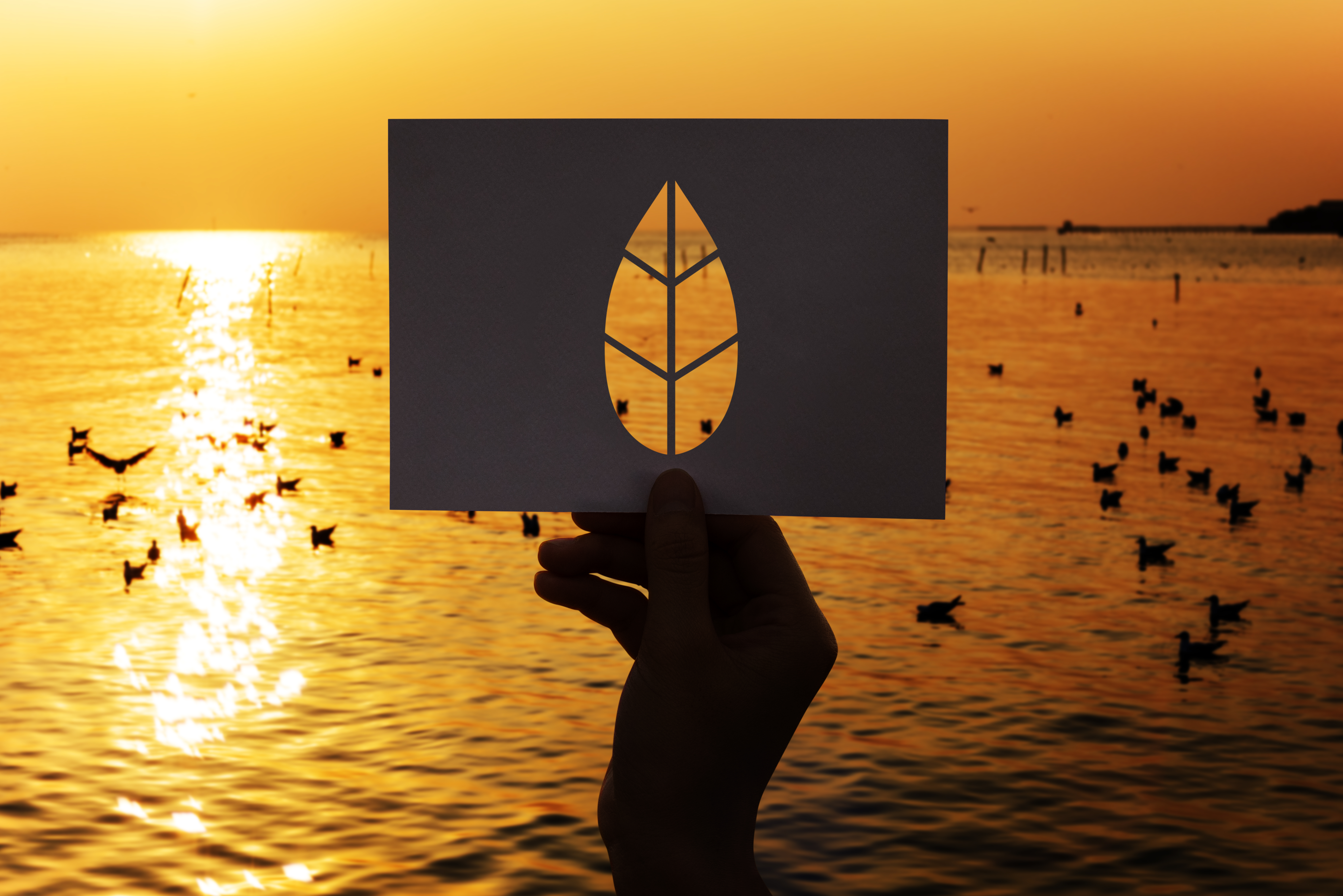 The Phoenix Effect: Mastering Branding Regeneration for Land and Plotting Success