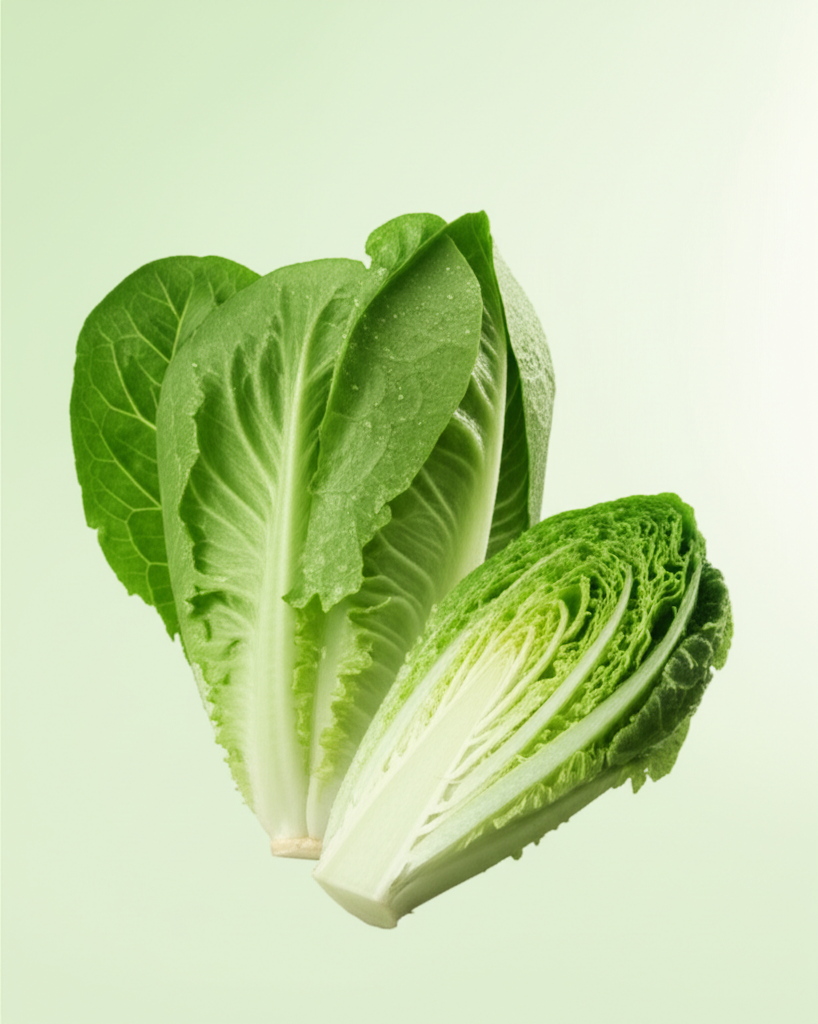 Lechuga hidroponica verde
