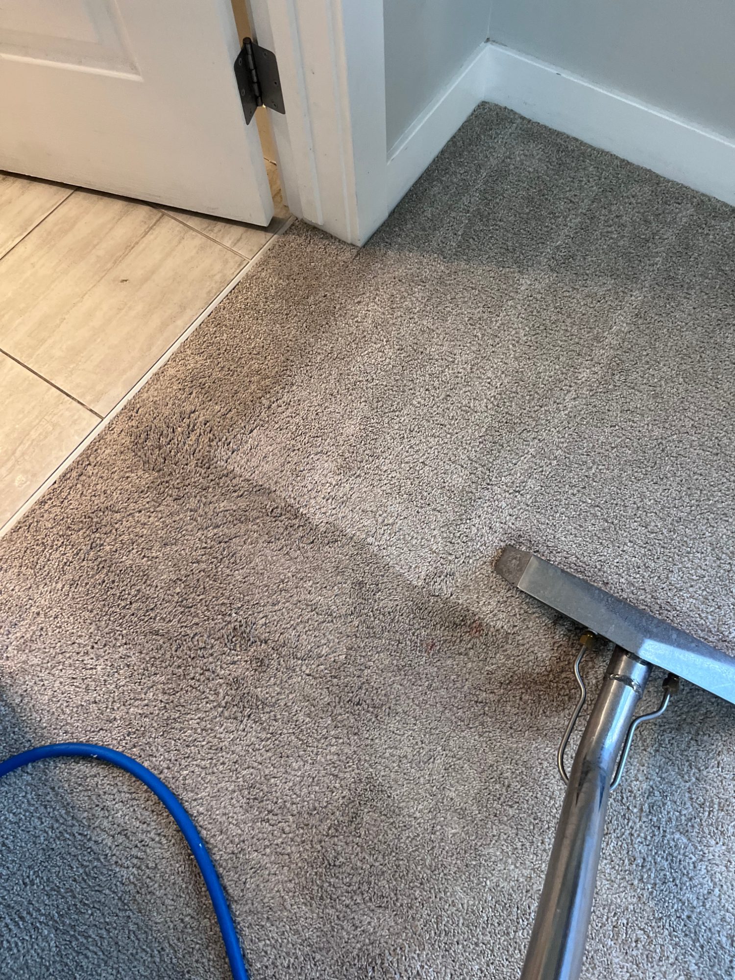 Optus COAP Carpet & Upholstery Cleaning Services — photo 2