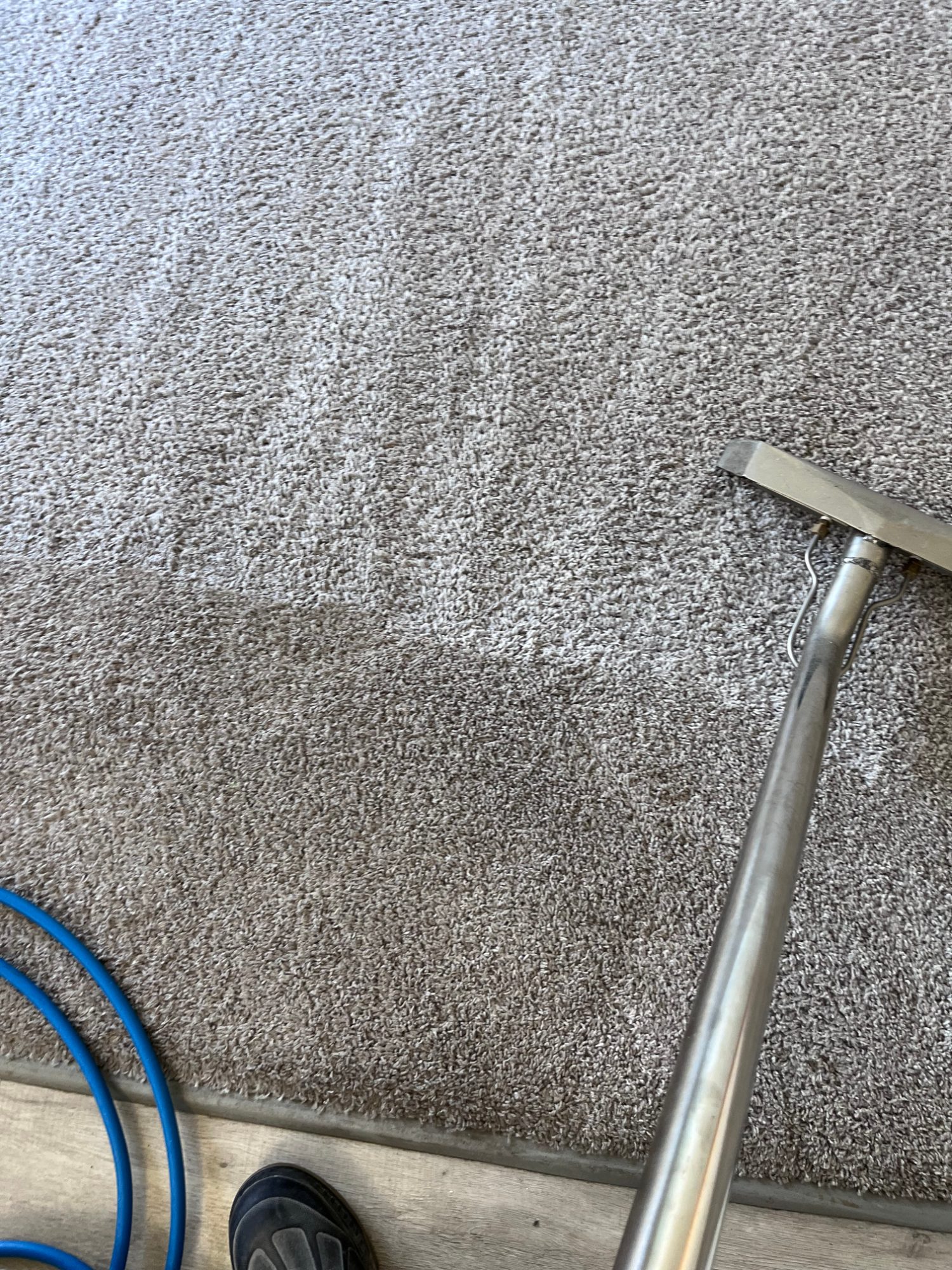 Optus COAP Carpet & Upholstery Cleaning Services — photo 3