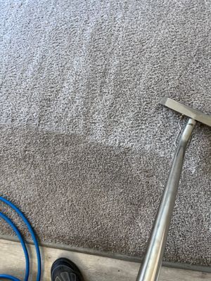 Optus COAP Carpet & Upholstery Cleaning Services — photo 3