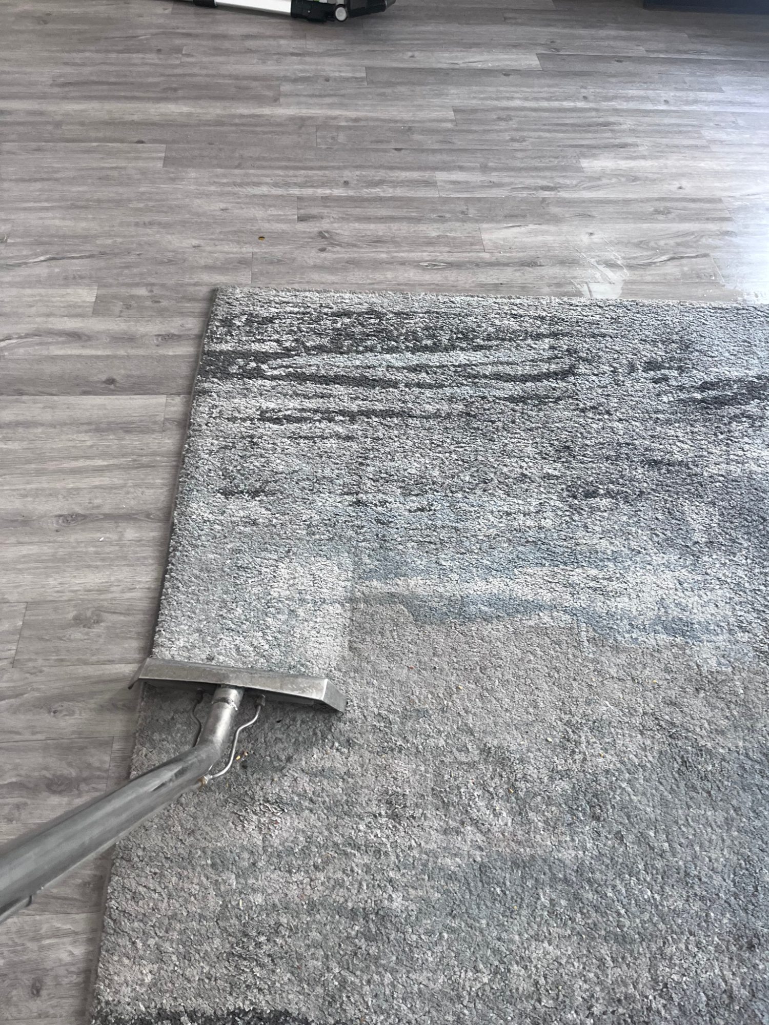 Optus COAP Carpet & Upholstery Cleaning Services — photo 4