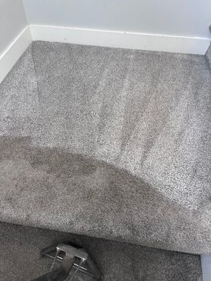 Optus COAP Carpet & Upholstery Cleaning Services — photo 5