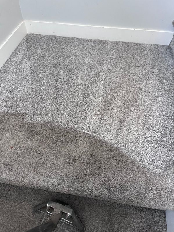 Optus COAP Carpet & Upholstery Cleaning Services — photo 5