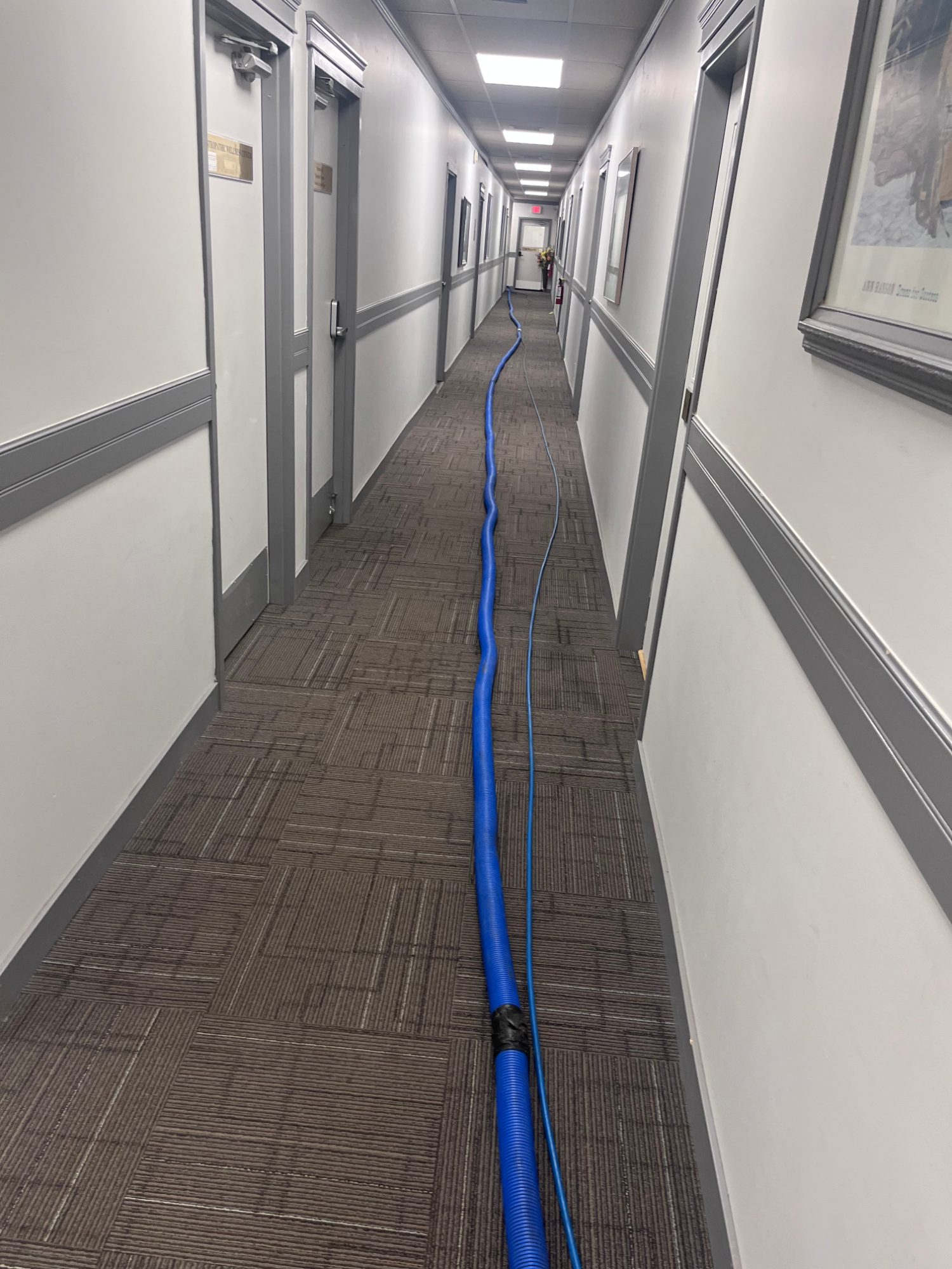 Optus COAP Carpet & Upholstery Cleaning Services — photo 6