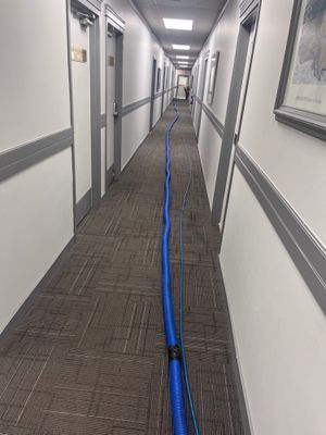 Optus COAP Carpet & Upholstery Cleaning Services — photo 6