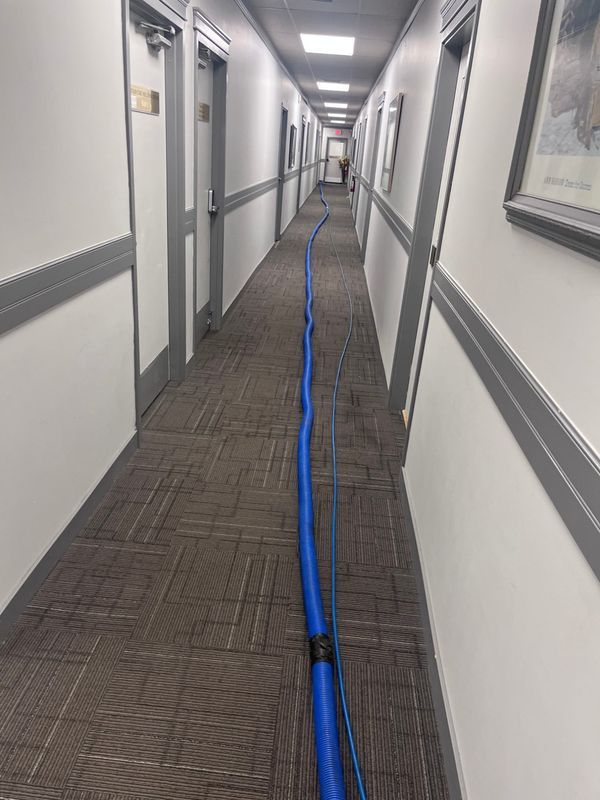 Optus COAP Carpet & Upholstery Cleaning Services — photo 6