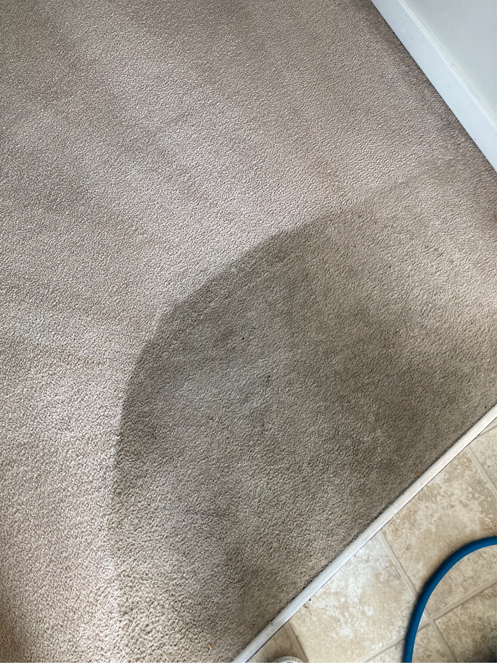Lotus Cleaning — photo 8