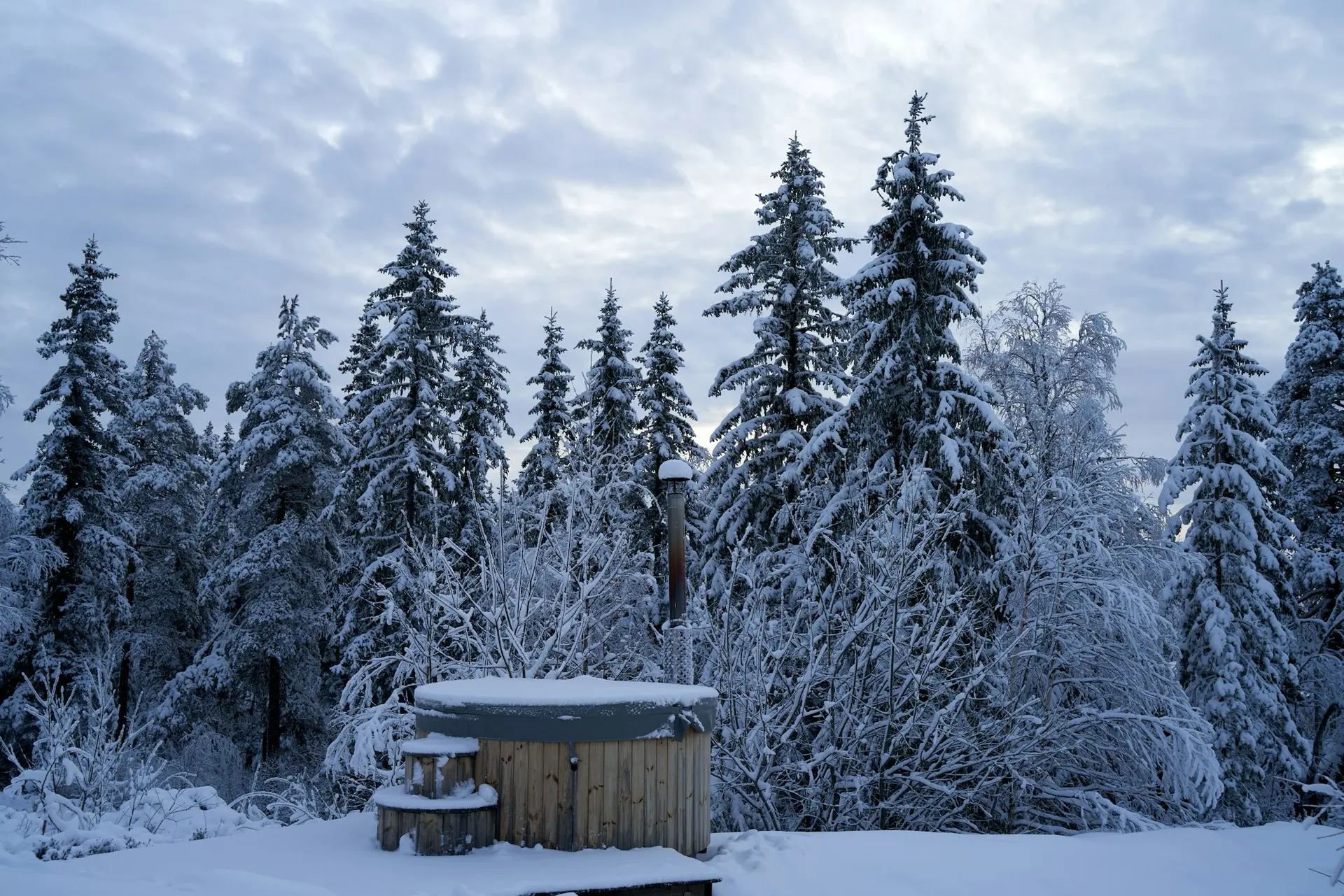 Nordic Ridge — photo 1