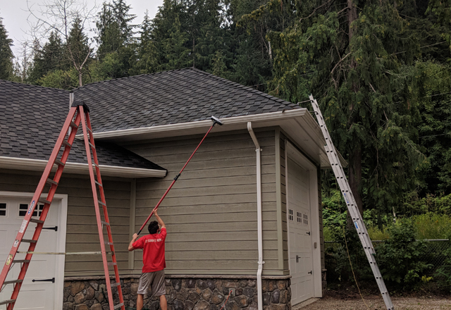 Immaculate Exteriors — photo 11