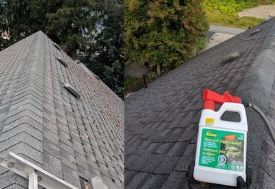Moss Removal