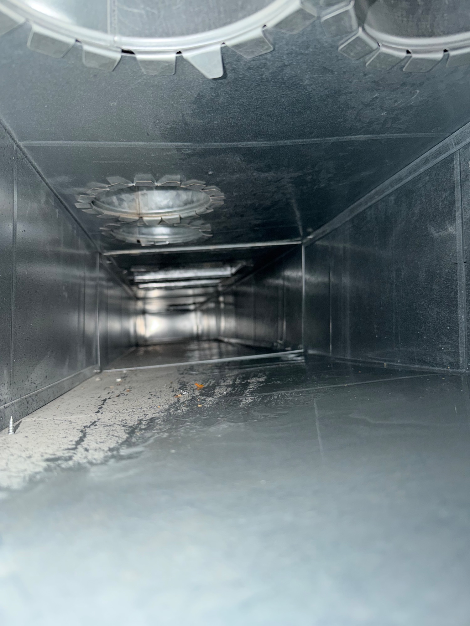 Silver Duct Cleaning — photo 25