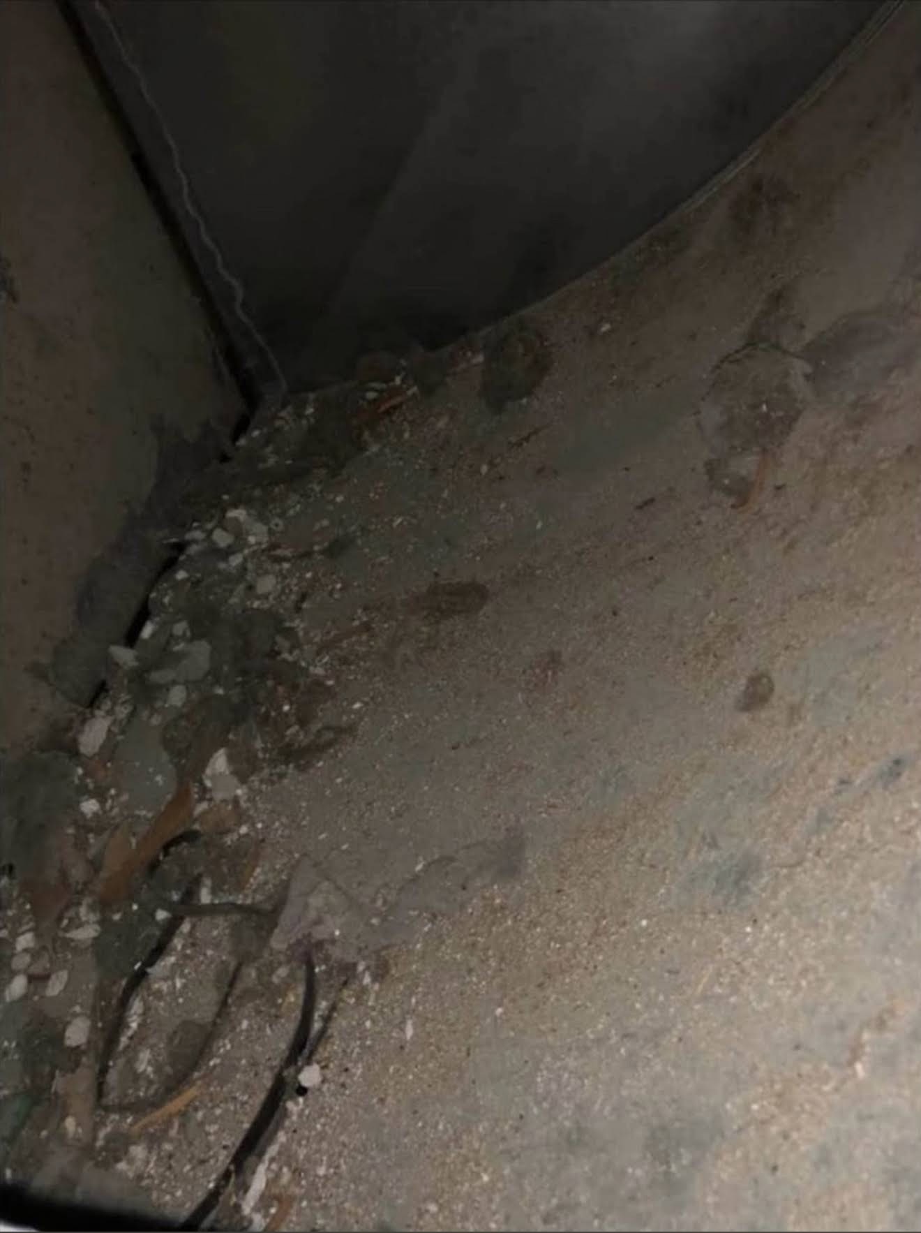 Silver Duct Cleaning — photo 27