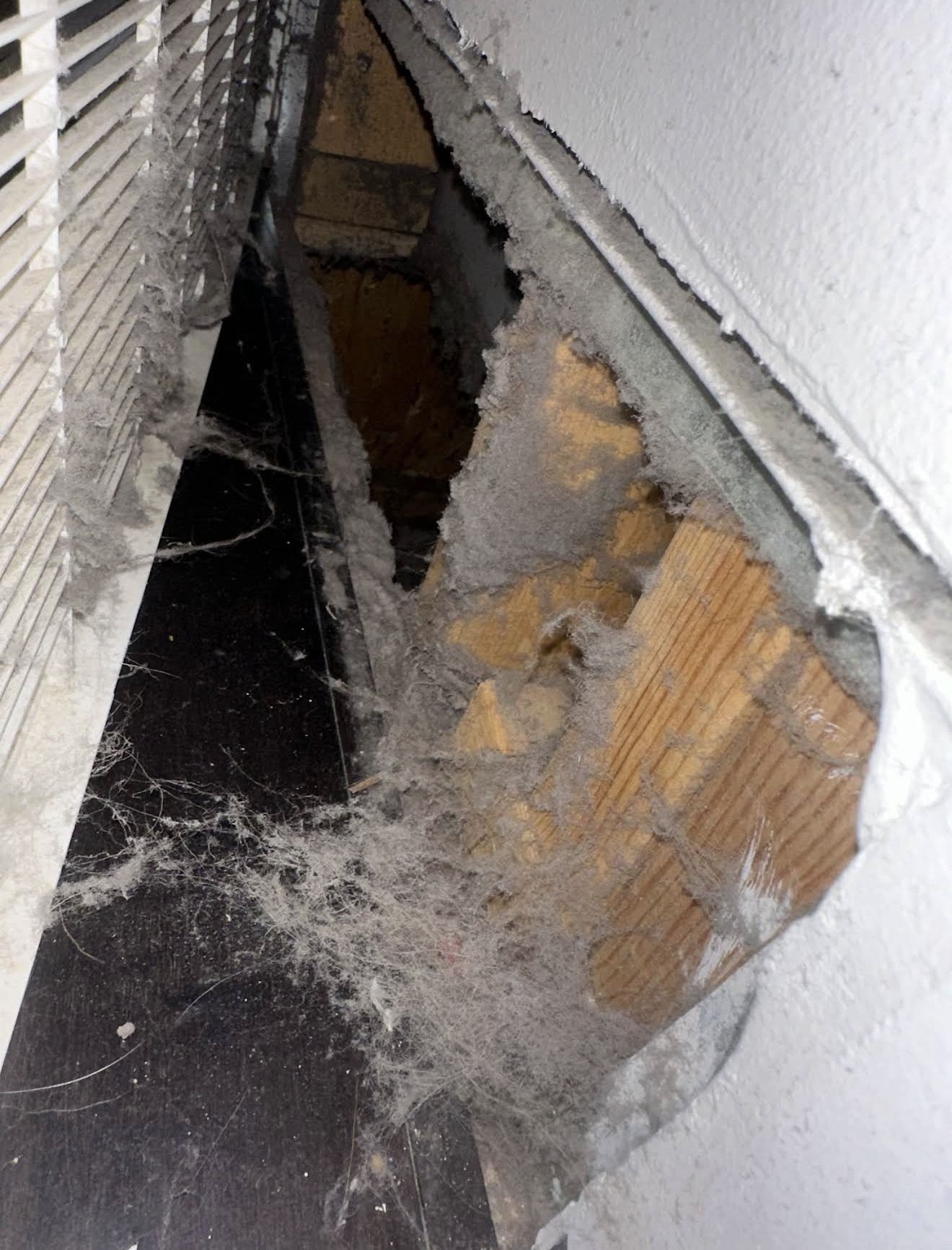 Silver Duct Cleaning — photo 36