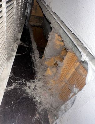 Silver Duct Cleaning — photo 36