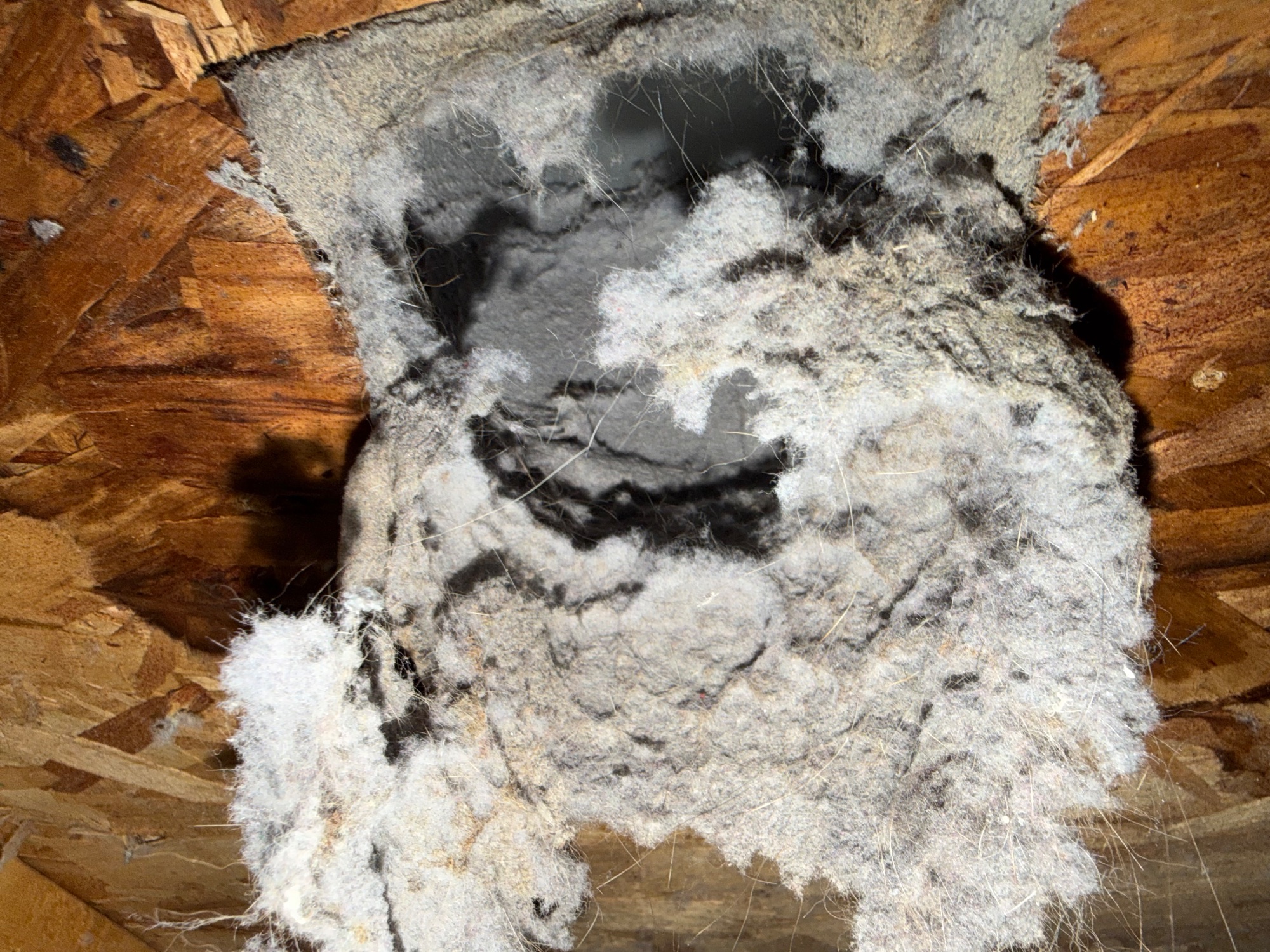 Silver Duct Cleaning — photo 37