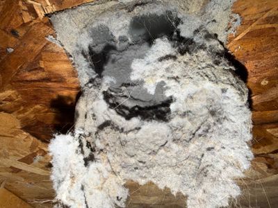 Silver Duct Cleaning — photo 37