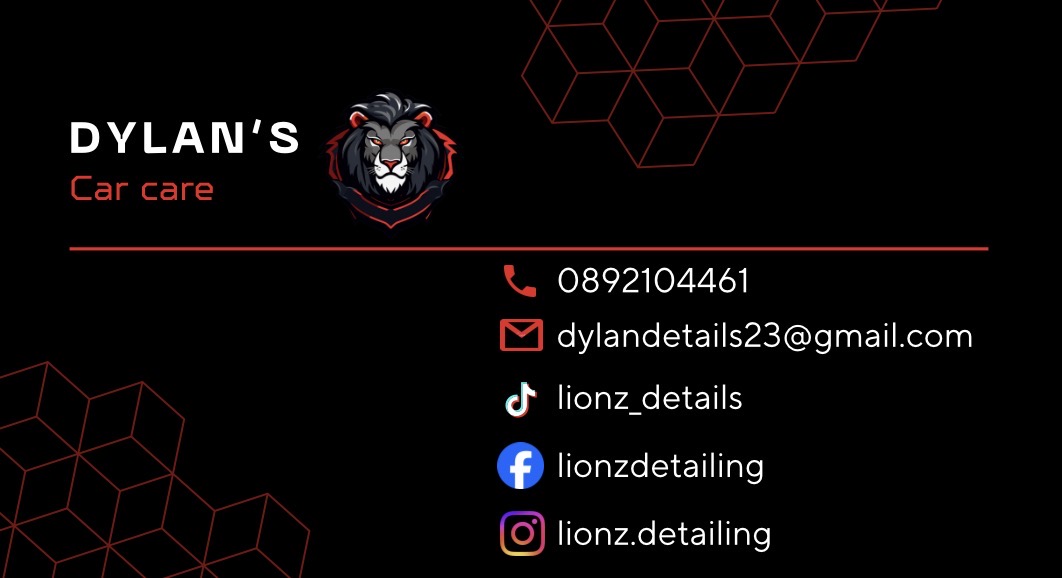 Lionz Detailing  cover