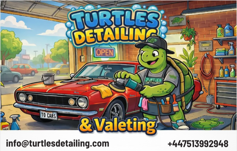 Turtles Detailing