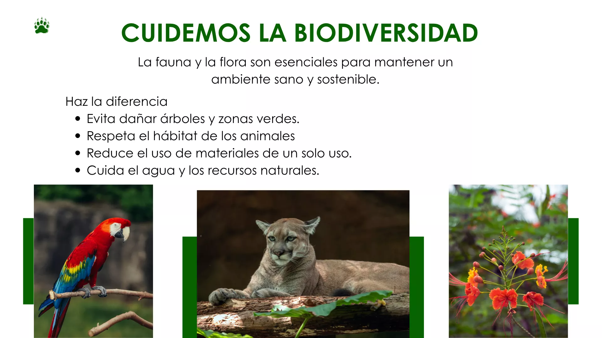 Cuidemos la Biodiversidad