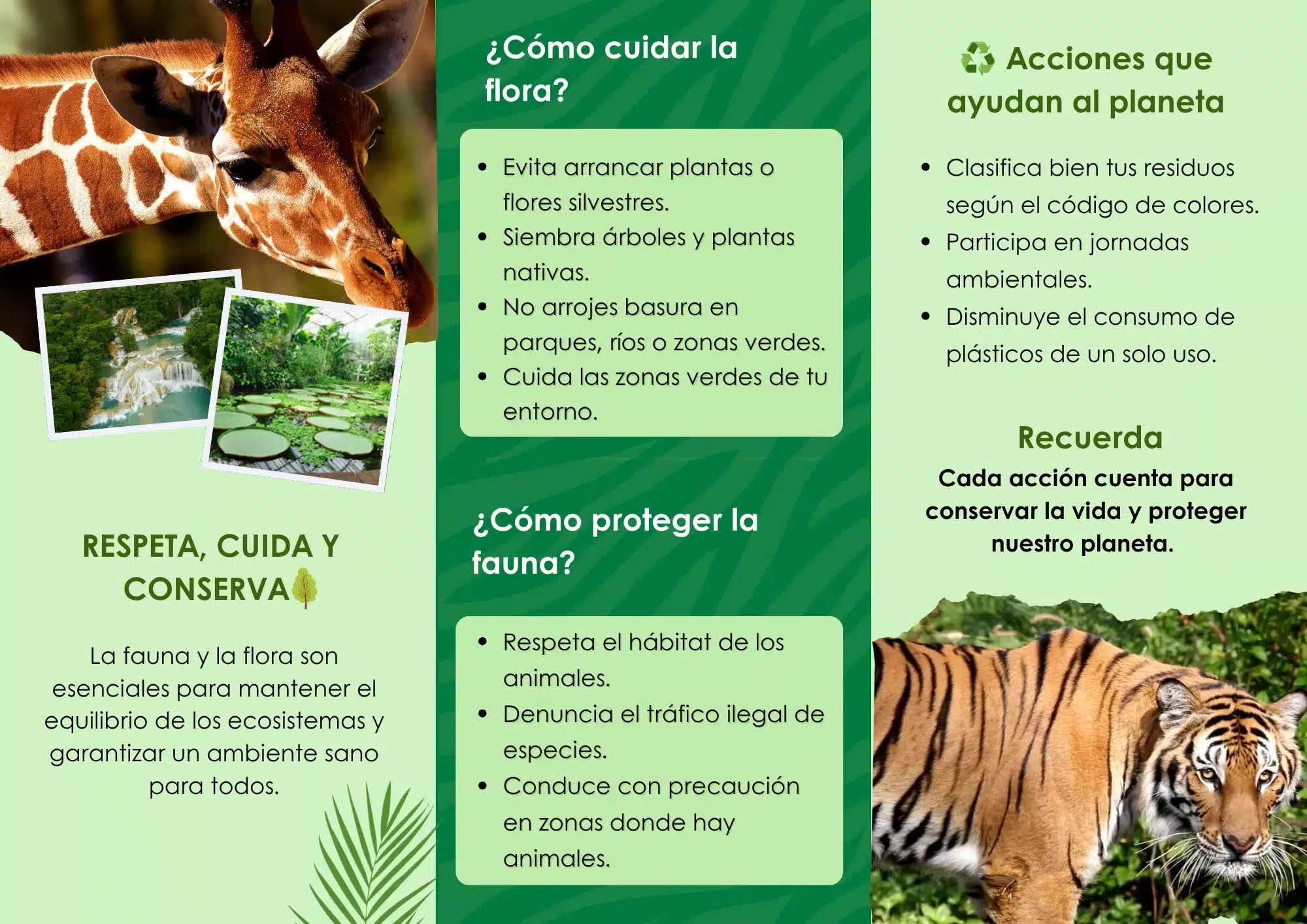 fauna y flora