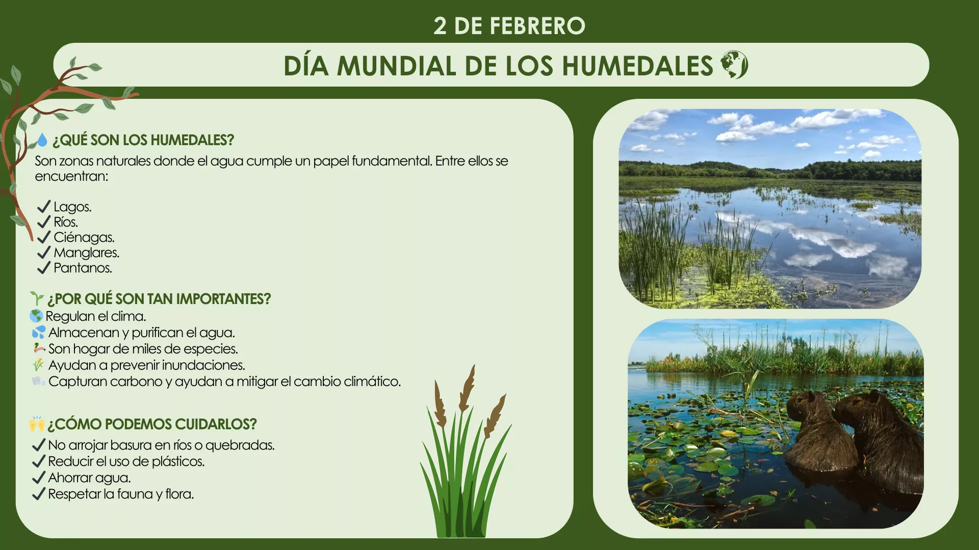 Dia de los humedales