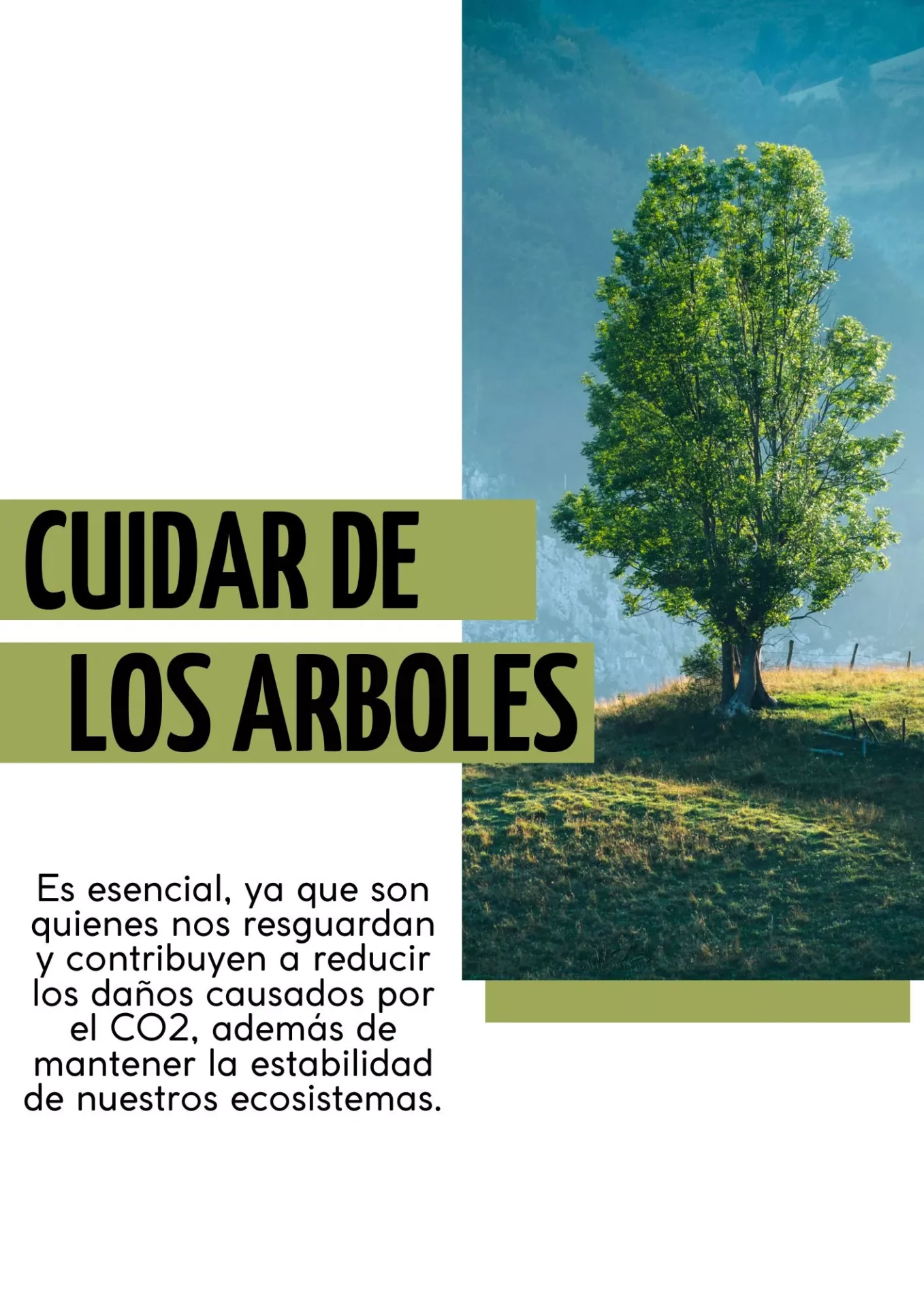 Cuida-la-flora