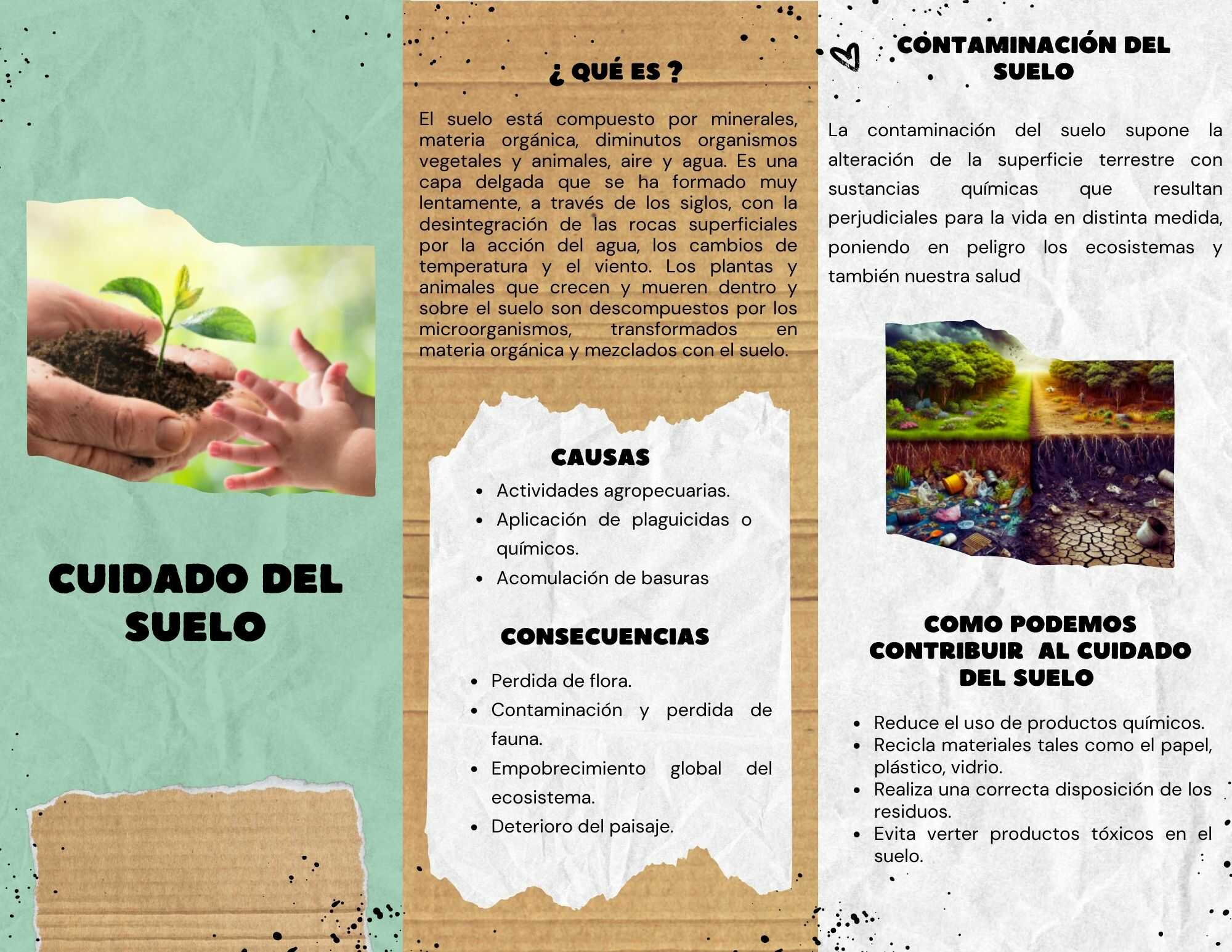 cuida-el-suelo
