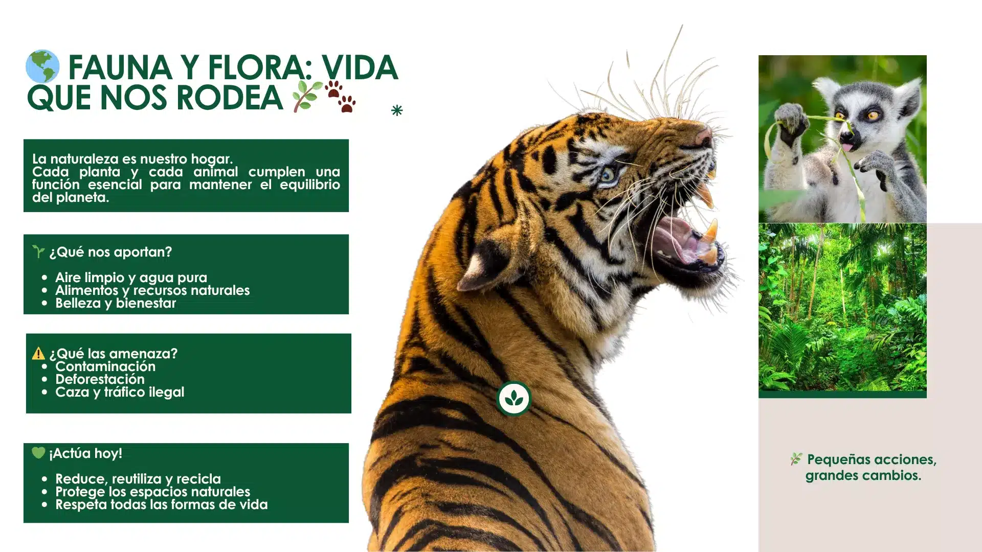 Fauna-y-Flora