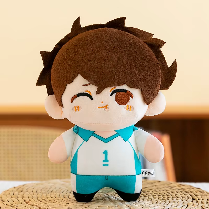 Oikawa Tooru / 1