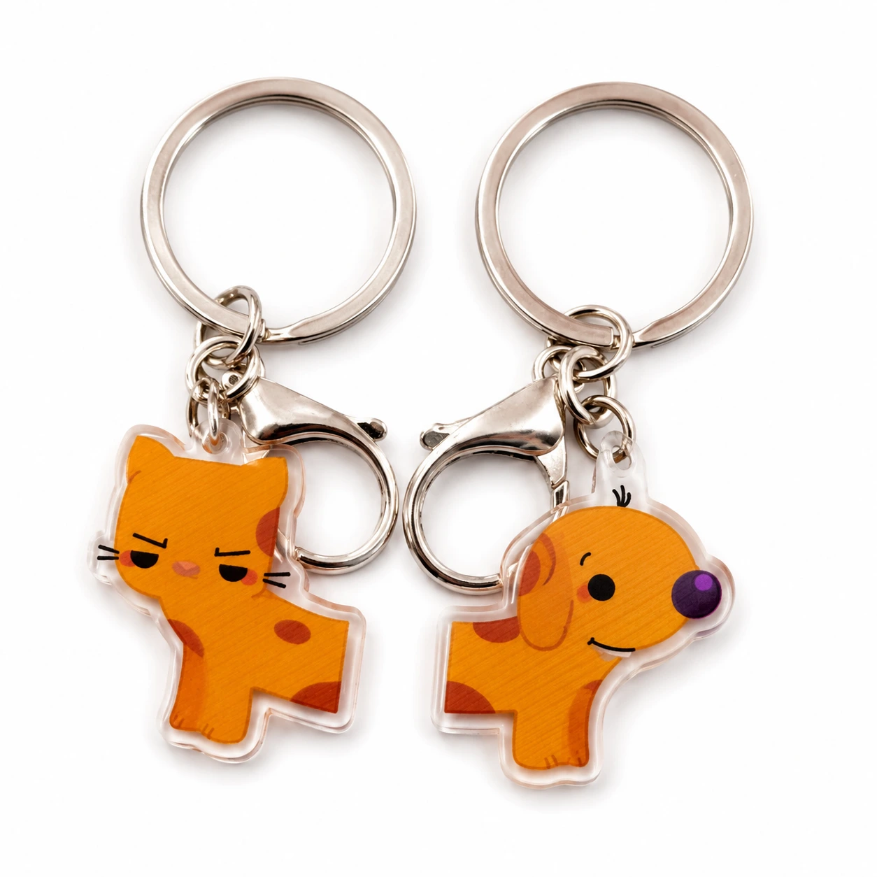 Cat & dog