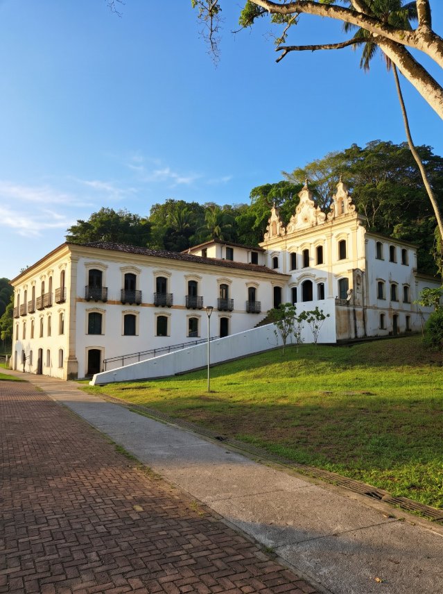 Museu do Recôncavo recebe exposição que transforma árvores descartadas em arte