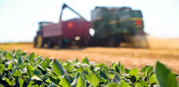 São Desidério consolida força agrícola com bilhões em produção no Oeste da Bahia