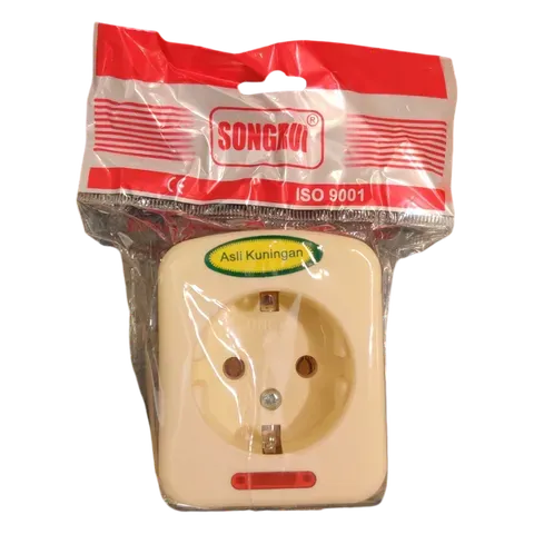 Image of product SCHUKO SOCKET EXTENSION BOARD SR-500 1 WAY SONGRUI