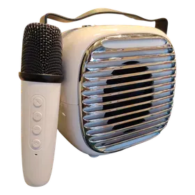 Image of product IKARAOKE BOX PROFESSIONAL SYSTEM 10W 3 INCH BTS-1955 BRODU