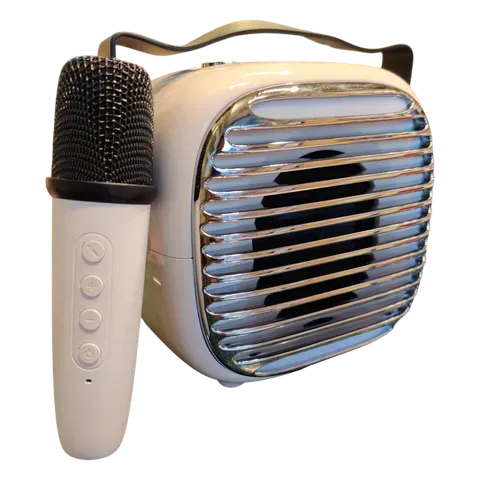 Image of product IKARAOKE BOX PROFESSIONAL SYSTEM 10W 3 INCH BTS-1955 BRODU